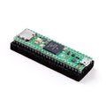 Teensy 4.1 (ARM Cortex-M7, 600MHz)